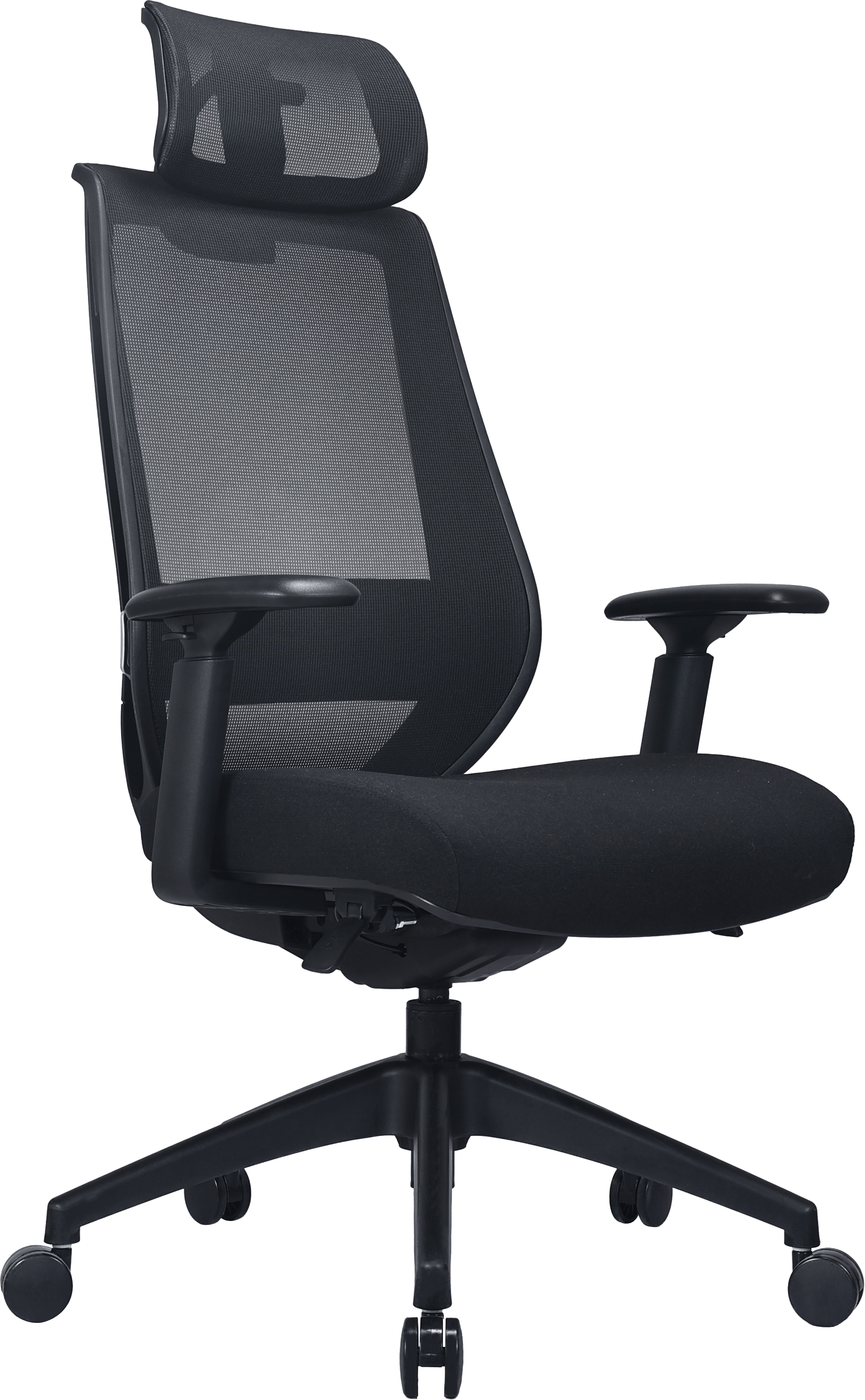 เก้าอี้ทำงานเพื่อสุขภาพ LUNIO ERGO APOLLO SMART X2 CHAIR สีดำ BLACK EDITION